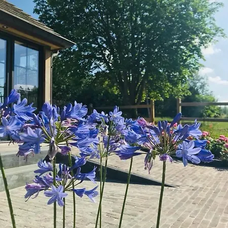 De Windheer